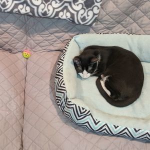 Meet your Posher, Tara